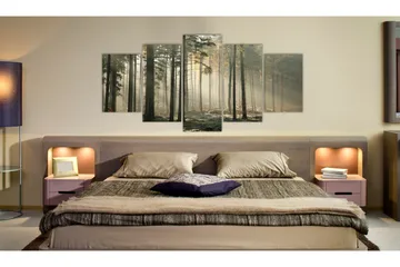 Bilde Light In A Dark Forest 100x50 - Artgeist sp. z o. o. - Innredning - Bilder & kunst - Lerretsbilder