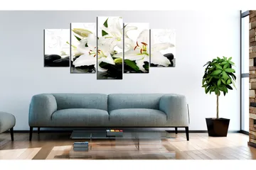 Bilde Lilies And Zen Stones 100x50 - Artgeist sp. z o. o. - Innredning - Bilder & kunst - Lerretsbilder