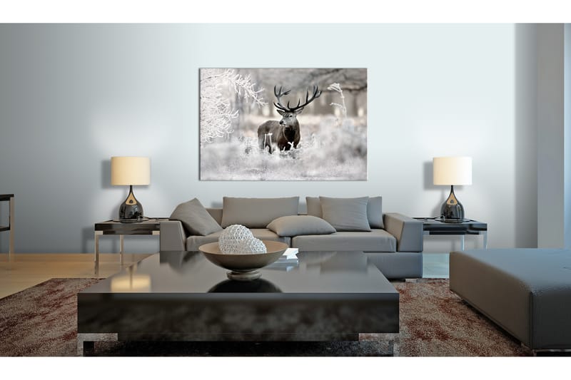 Bilde Lonely Deer 120x80 - Artgeist sp. z o. o. - Lerretsbilder