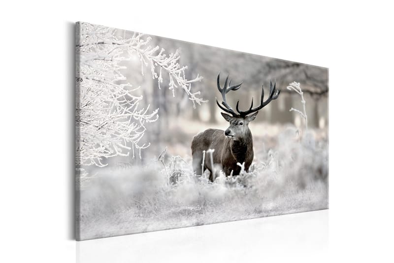 Bilde Lonely Deer 90x60, Artgeist sp. z o. o.