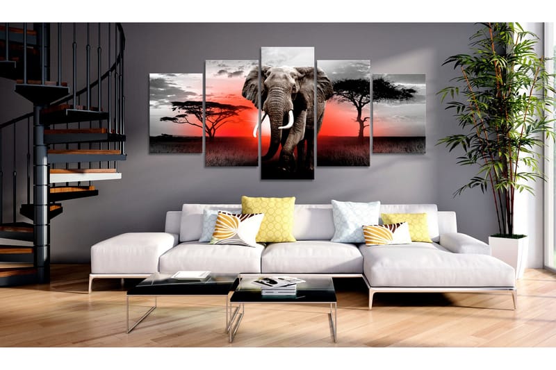 Bilde Lonely Elephant 200x100 - Artgeist sp. z o. o. - Innredning - Bilder & kunst - Lerretsbilder