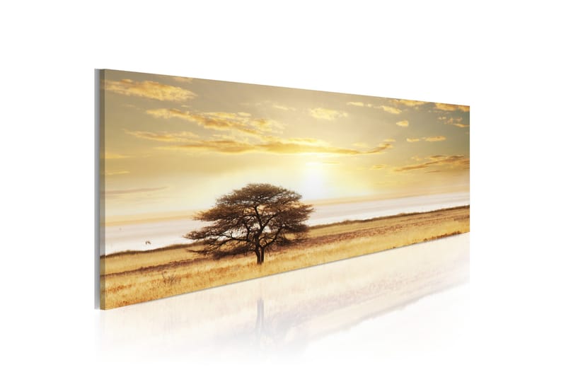 Bilde Lonely Tree On Savannah 120x40, Artgeist sp. z o. o.