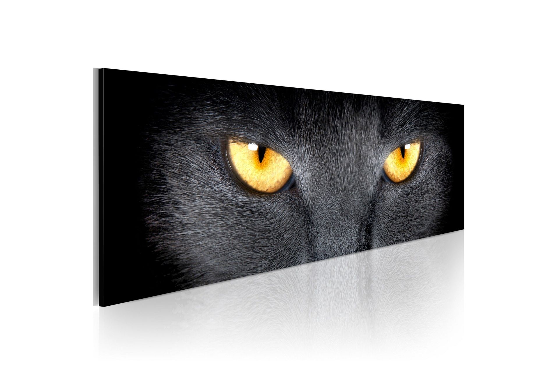 Bilde Look Into My Eyes 120x40 - Artgeist sp. z o. o.