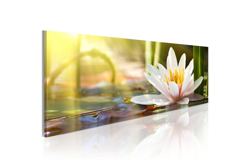 Bilde Lotus' Glow 150x50, Artgeist sp. z o. o.