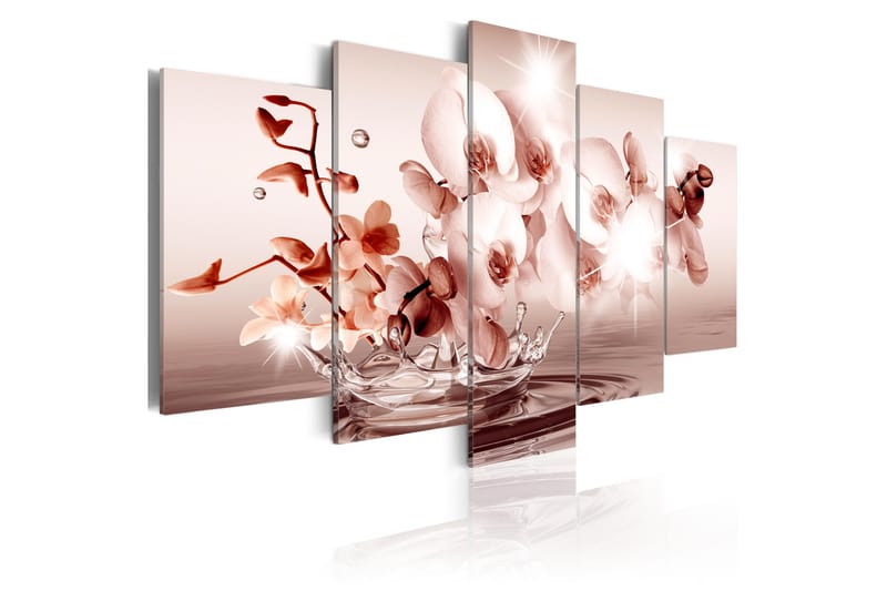 Bilde Lyric Of Orchid 200x100 - Artgeist sp. z o. o. - Innredning - Bilder & kunst - Lerretsbilder
