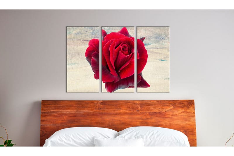 Bilde Lyrical Rose 120x80 - Artgeist sp. z o. o. - Innredning - Bilder & kunst - Lerretsbilder
