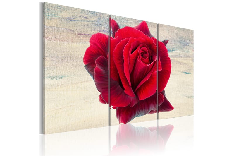 Bilde Lyrical Rose 120x80, Artgeist sp. z o. o.