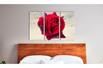 Bilde Lyrical Rose 60x40 - Artgeist sp. z o. o. - Innredning - Bilder & kunst - Lerretsbilder