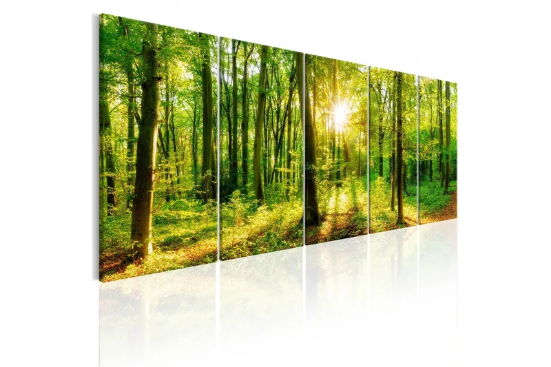 Bilde Magic Forest 200x80 - Artgeist sp. z o. o. - Innredning - Bilder & kunst - Lerretsbilder