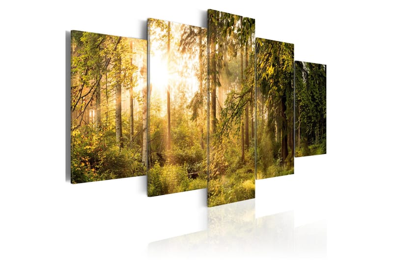 Bilde Magic Of Forest 200x100, Artgeist sp. z o. o.
