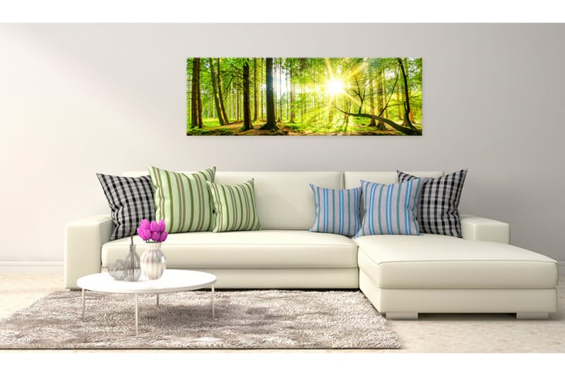 Bilde Majestic Trees 135x45 - Artgeist sp. z o. o. - Innredning - Bilder & kunst - Lerretsbilder