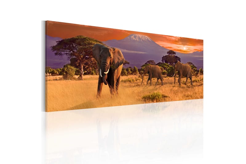 Bilde March Of African Elephants 135x45 - Artgeist sp. z o. o. - Lerretsbilder