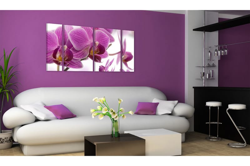Bilde Marvelous Orchid 120x60 - Artgeist sp. z o. o. - Lerretsbilder