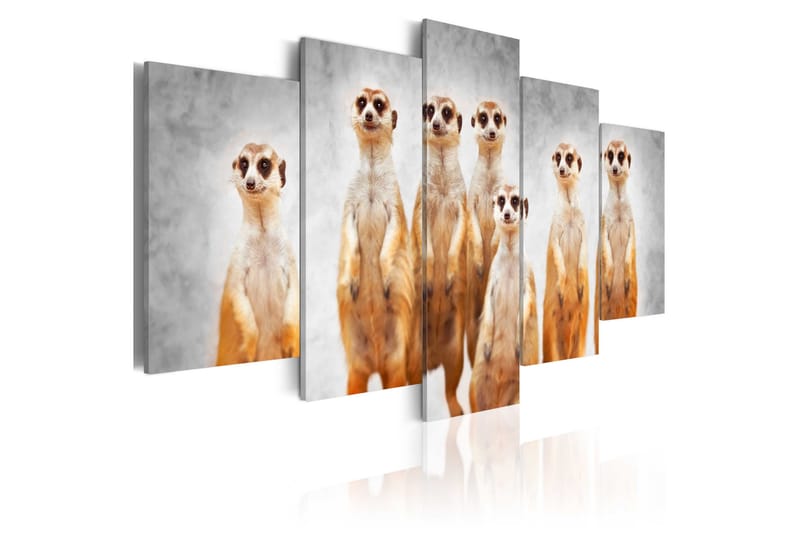 Bilde Meerkats 100x50, Artgeist sp. z o. o.