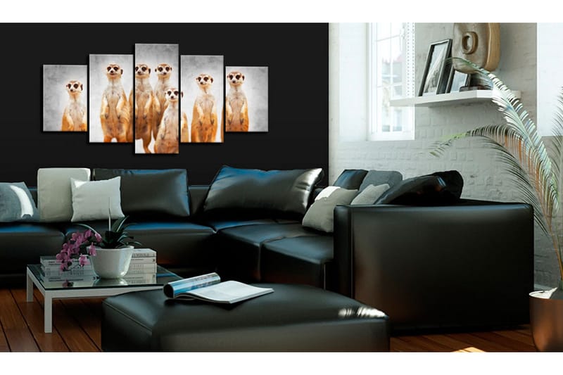 Bilde Meerkats 100x50 - Artgeist sp. z o. o. - Innredning - Bilder & kunst - Lerretsbilder