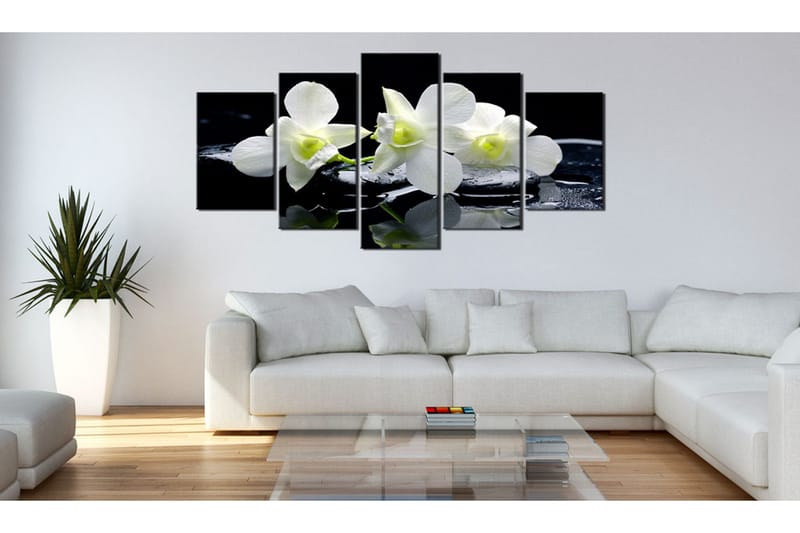 Bilde Melancholic Orchids 100x50 - Artgeist sp. z o. o. - Innredning - Bilder & kunst - Lerretsbilder
