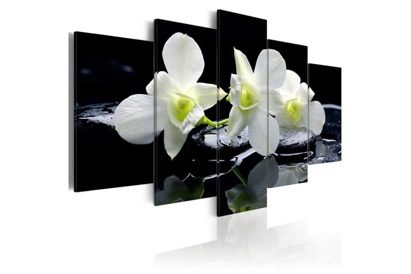 Bilde Melancholic Orchids 100x50, Artgeist sp. z o. o.