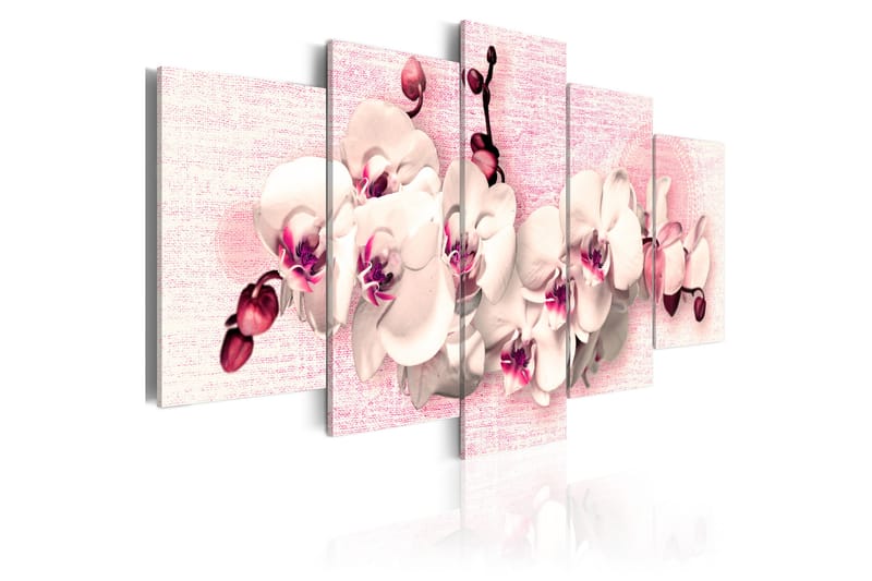 Bilde Metafor Av Feminitet 5 Stk 100x50 - Artgeist sp. z o. o. - Innredning - Bilder & kunst - Lerretsbilder