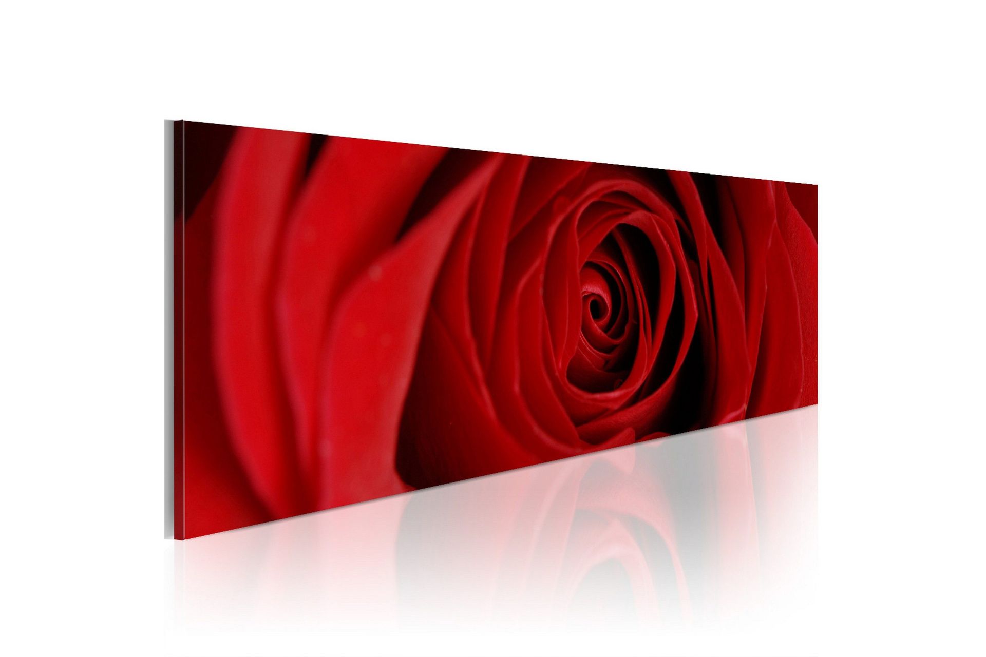 Bilde Midnight Rose 120x40 - Artgeist sp. z o. o.