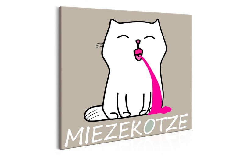 Bilde Miezekotze 40x40, Artgeist sp. z o. o.