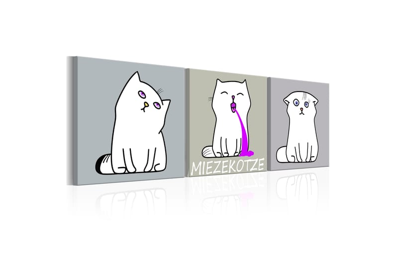 Bilde Miezekotze Cat Trio 120x40 - Artgeist sp. z o. o. - Innredning - Bilder & kunst - Lerretsbilder