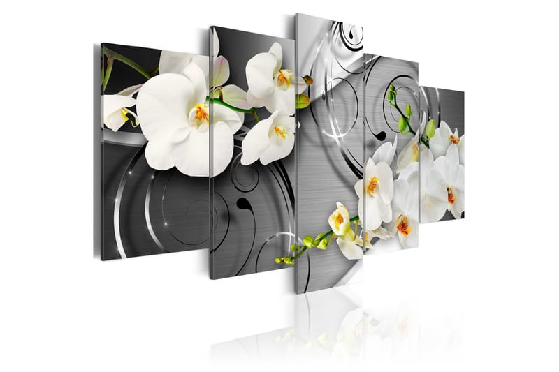 Bilde Milky Orchids 100x50 - Artgeist sp. z o. o. - Innredning - Bilder & kunst - Lerretsbilder