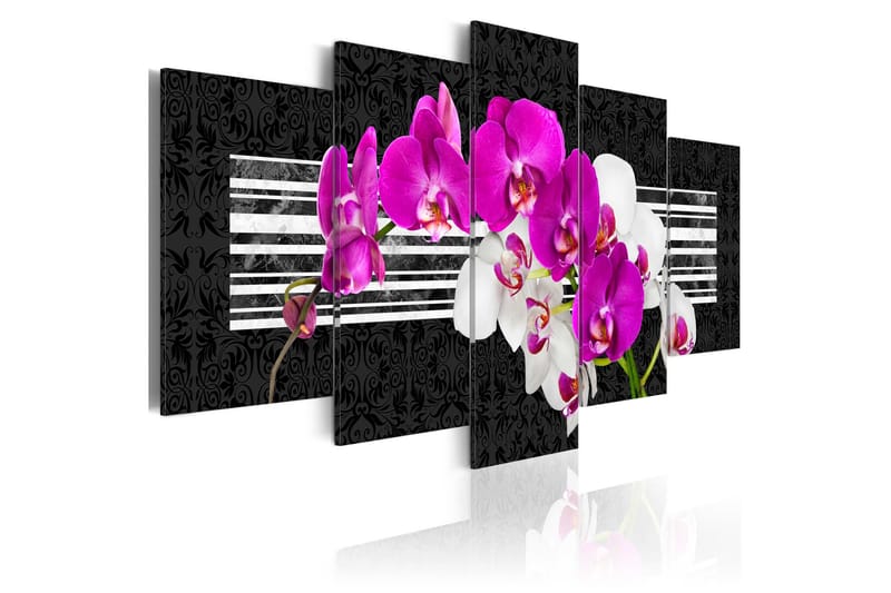 Bilde Modest Orchids 200x100, Artgeist sp. z o. o.