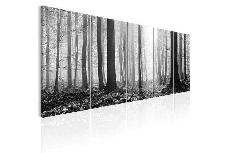 Bilde Monochrome Forest 200x80, Artgeist sp. z o. o.