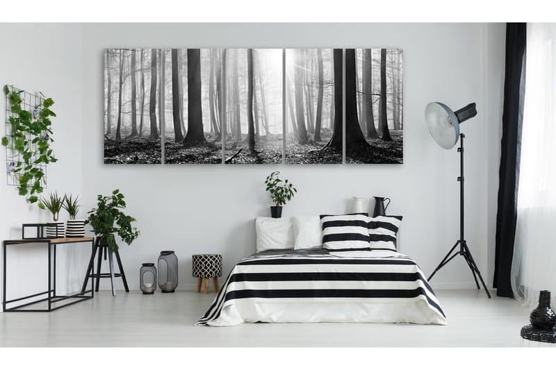 Bilde Monochrome Forest 225x90 - Artgeist sp. z o. o. - Innredning - Bilder & kunst - Lerretsbilder
