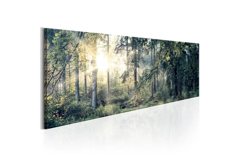 Bilde Morning Magic 150x50, Artgeist sp. z o. o.
