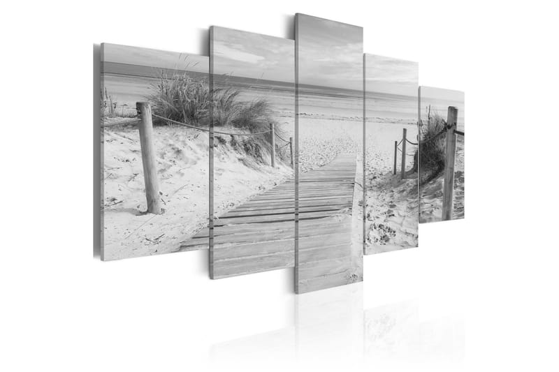 Bilde Morning On The Beach Black And White 200x100 - Artgeist sp. z o. o. - Innredning - Bilder & kunst - Lerretsbilder