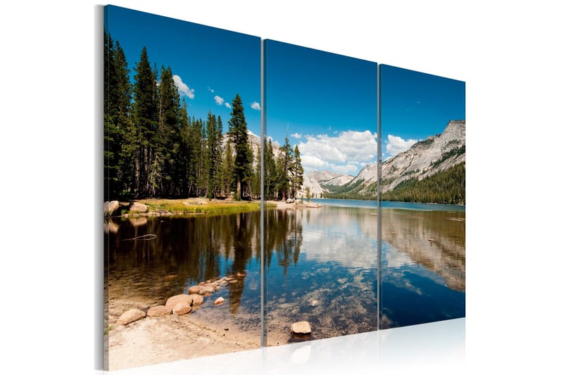 Bilde Mountains, trees and pure lake 90x60, Artgeist sp. z o. o.