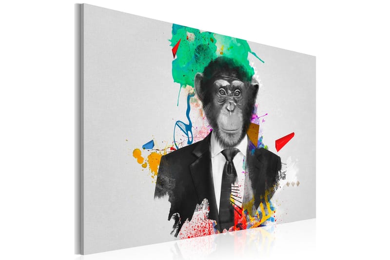 Bilde Mr Monkey 60x40, Artgeist sp. z o. o.