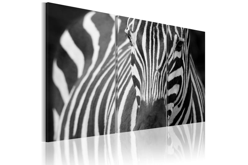 Bilde Mrs Zebra 90x60, Artgeist sp. z o. o.