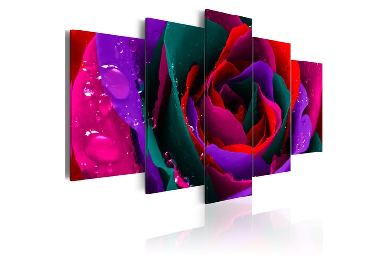 Bilde Multicoloured Rose 200x100, Artgeist sp. z o. o.