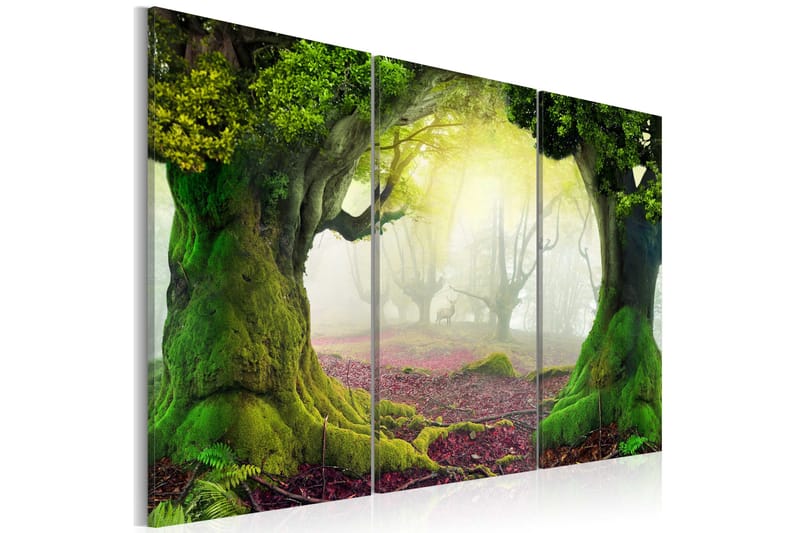 Bilde Mysterious Forest Triptych 120x80, Artgeist sp. z o. o.