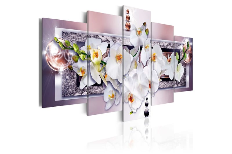 Bilde Mysterious Orchid 100x50, Artgeist sp. z o. o.