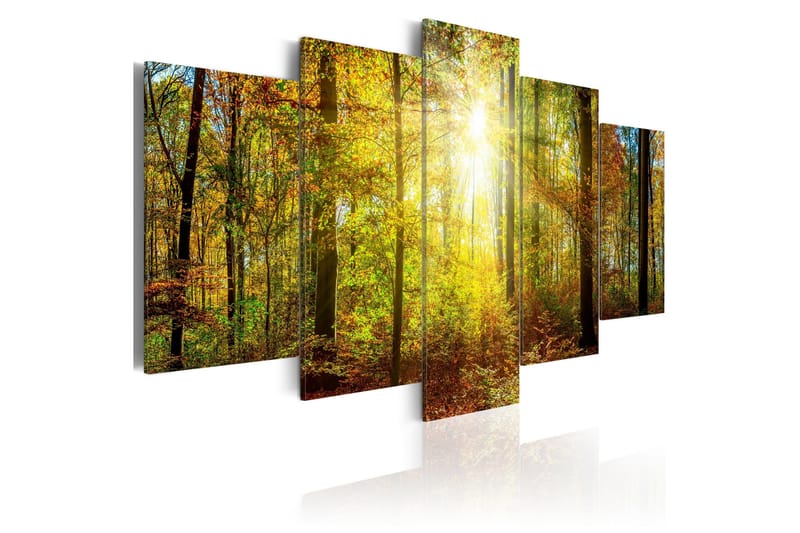 Bilde Mystical Forest 200x100, Artgeist sp. z o. o.