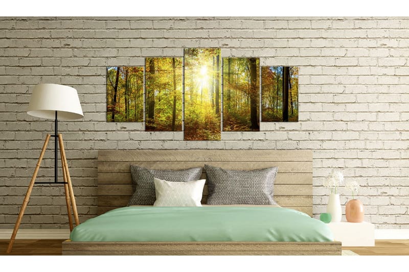 Bilde Mystical Forest 200x100 - Artgeist sp. z o. o. - Innredning - Bilder & kunst - Lerretsbilder