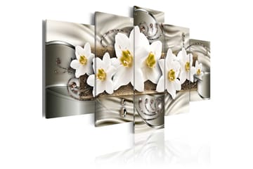 Bilde Narcissi 200x100