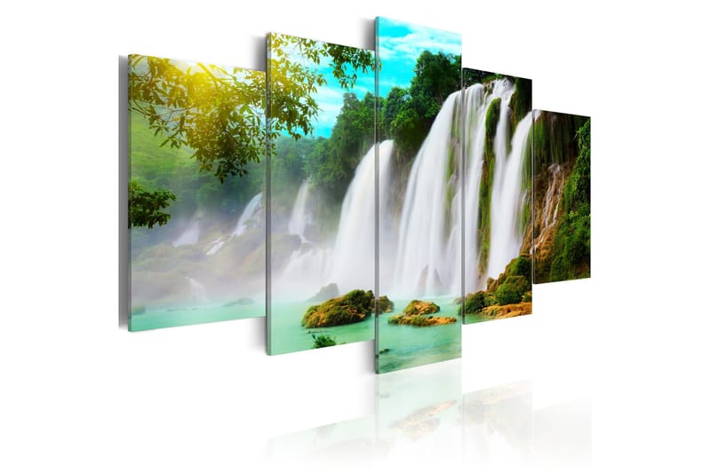 Bilde Nature's Miracle 100x50, Artgeist sp. z o. o.