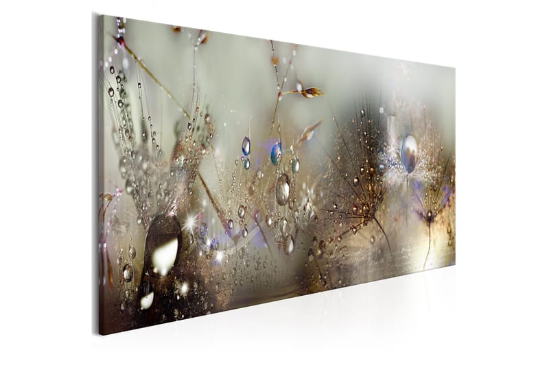 Bilde Nature Sounds 120x40 - Artgeist sp. z o. o. - Innredning - Bilder & kunst - Lerretsbilder