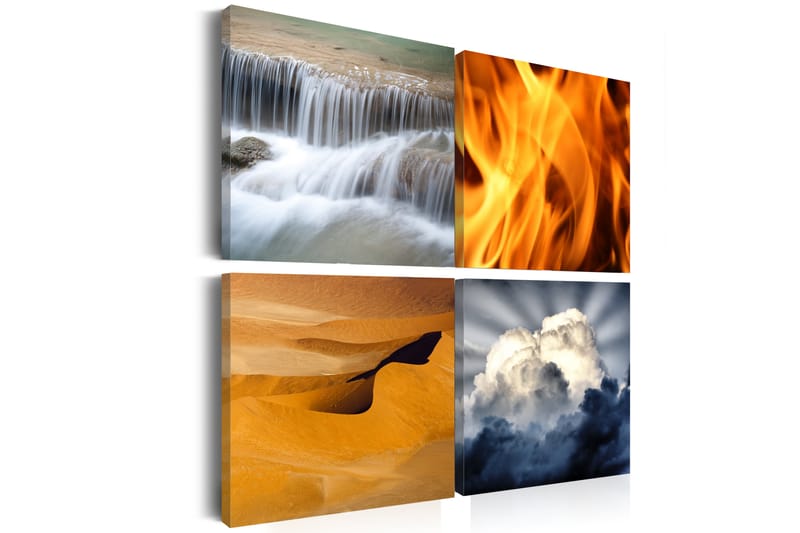 Bilde Naturens Mangfold 80x80 - Artgeist sp. z o. o. - Innredning - Bilder & kunst - Lerretsbilder
