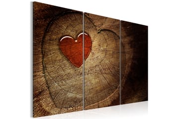 Bilde Old love does not rust 3 x 90x60