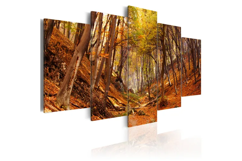 Bilde Orange Autumn 100x50, Artgeist sp. z o. o.
