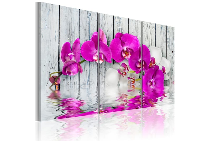 Bilde Orchid 90x60, Artgeist sp. z o. o.