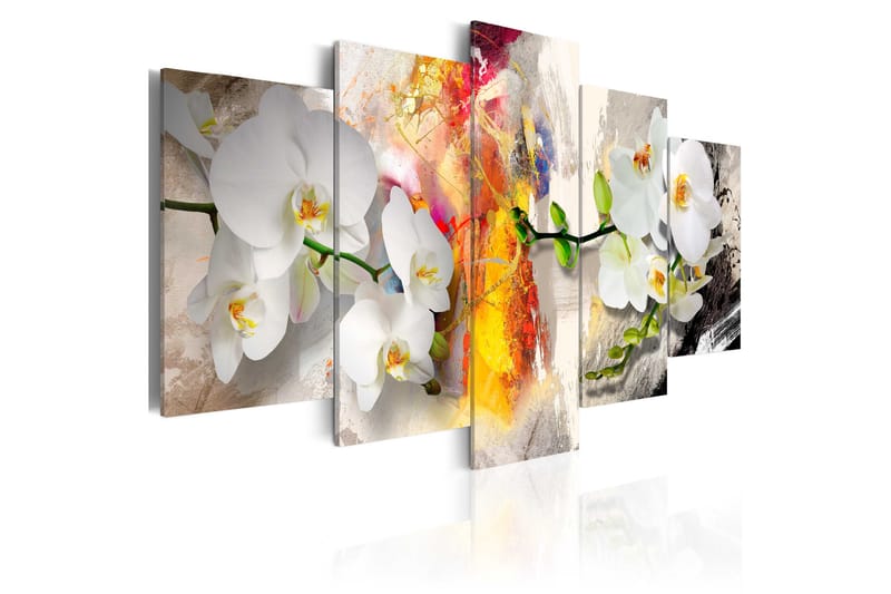 Bilde Orchid And Colors 200x100 - Artgeist sp. z o. o. - Innredning - Bilder & kunst - Lerretsbilder