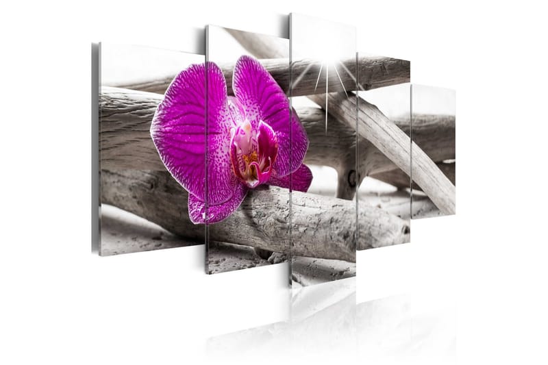 Bilde Orchid On Beach 200x100, Artgeist sp. z o. o.