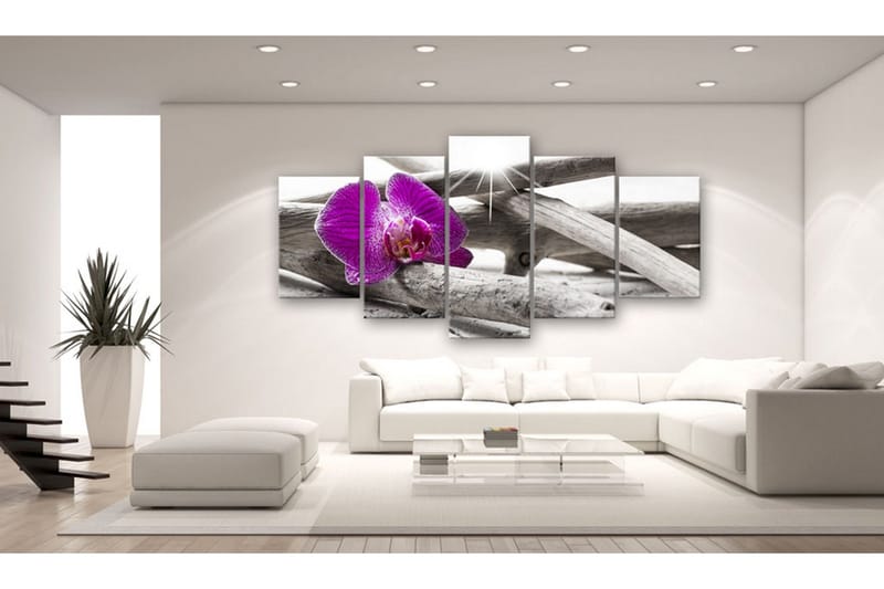 Bilde Orchid On Beach 200x100 - Artgeist sp. z o. o. - Innredning - Bilder & kunst - Lerretsbilder