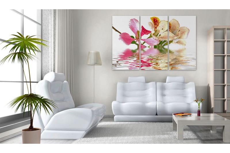 Bilde Orchid With Colorful Spots 120x80 - Artgeist sp. z o. o. - Innredning - Bilder & kunst - Lerretsbilder